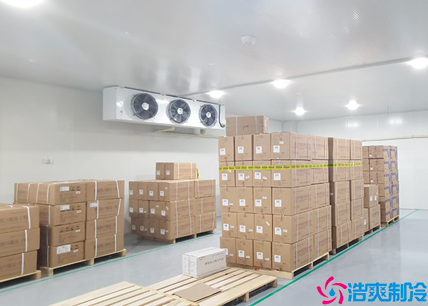 水果菠萝蜜在线观看