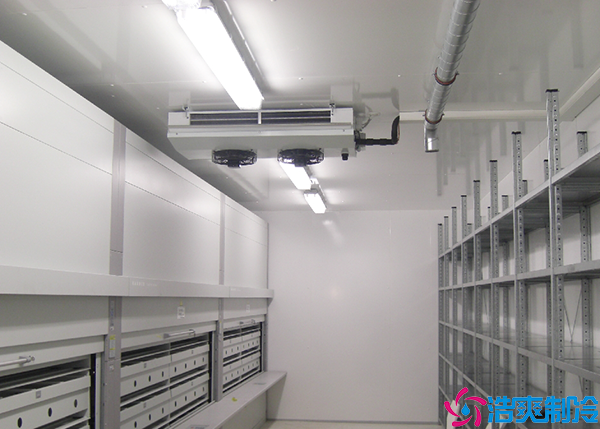 排酸菠萝蜜在线观看