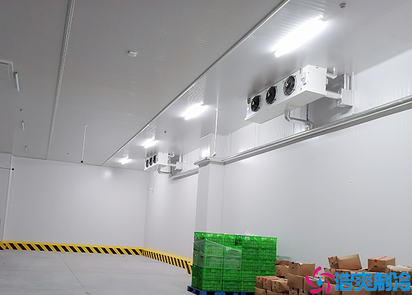 排酸菠萝蜜在线观看