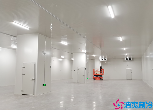 排酸菠萝蜜在线观看