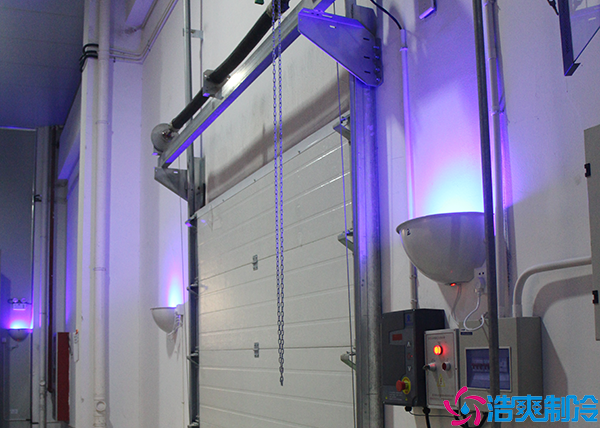 气调菠萝蜜在线观看