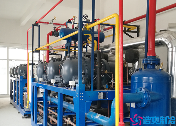 低温菠萝蜜在线观看