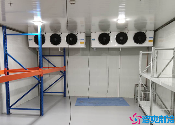 花卉菠萝蜜在线观看