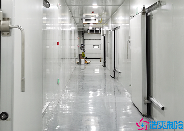 厨房双温菠萝蜜在线观看