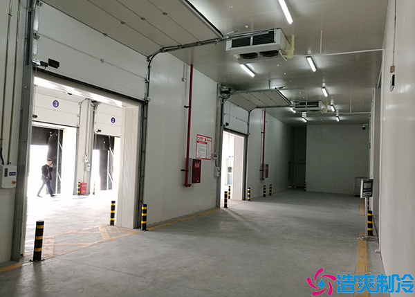 大型牛肉菠萝蜜在线观看