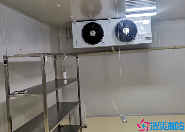 牛肉小型菠萝蜜在线观看