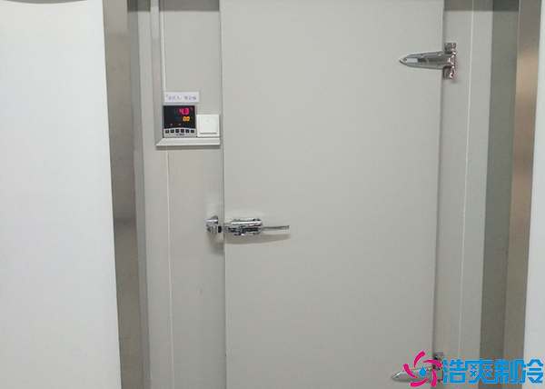 牛肉小型菠萝蜜在线观看