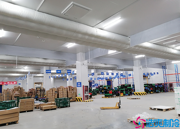 物流菠萝蜜在线观看