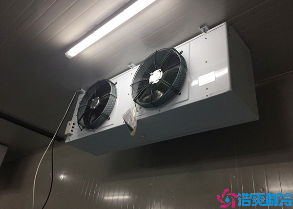 蔬菜保鲜菠萝蜜在线观看