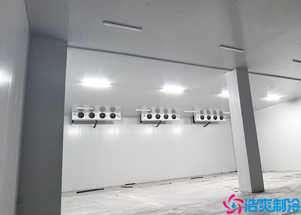 蔬菜保鲜菠萝蜜在线观看