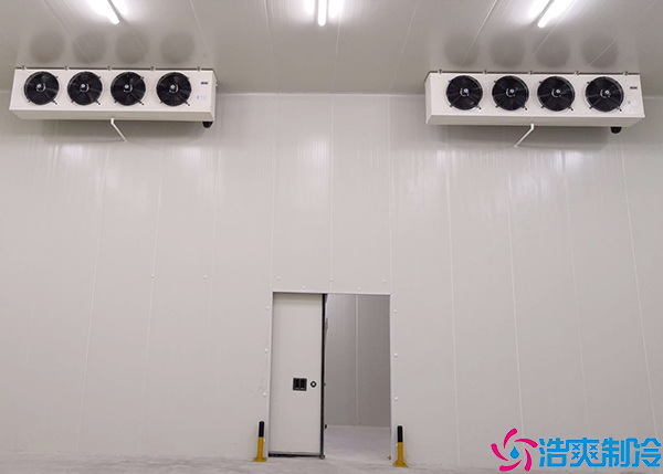 保鲜菠萝蜜在线观看