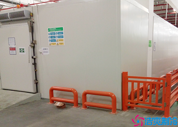 食品小型菠萝蜜在线观看