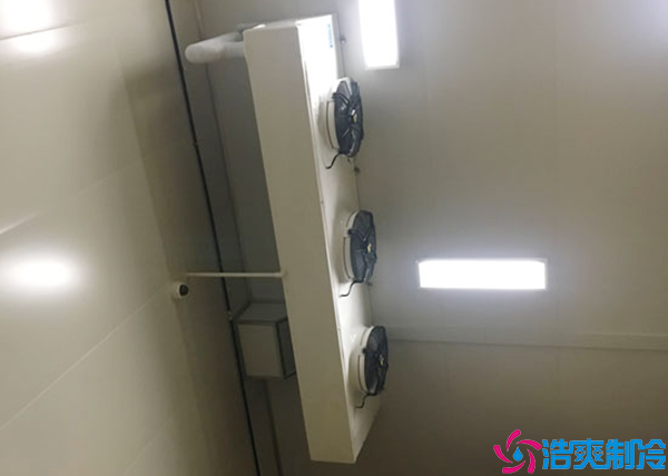 微型气调保鲜菠萝蜜在线观看