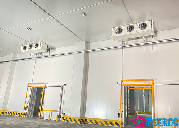 冷冻肉品菠萝蜜在线观看