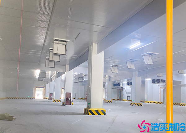 冷冻肉品菠萝蜜在线观看