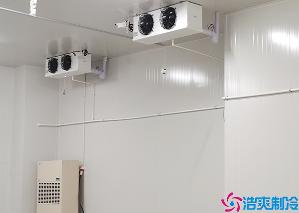 食品菠萝蜜在线观看