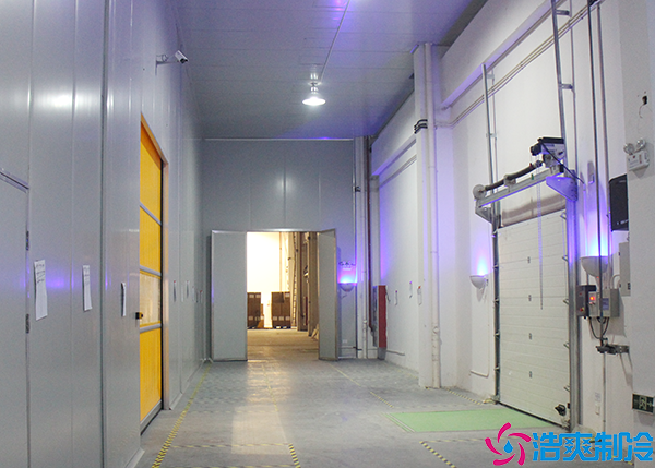 物流菠萝蜜在线观看