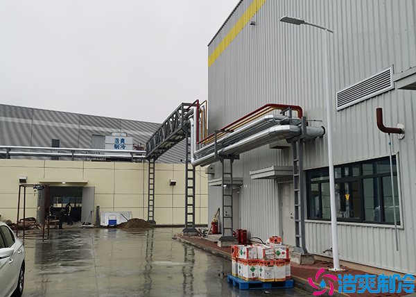 食堂菠萝蜜在线观看