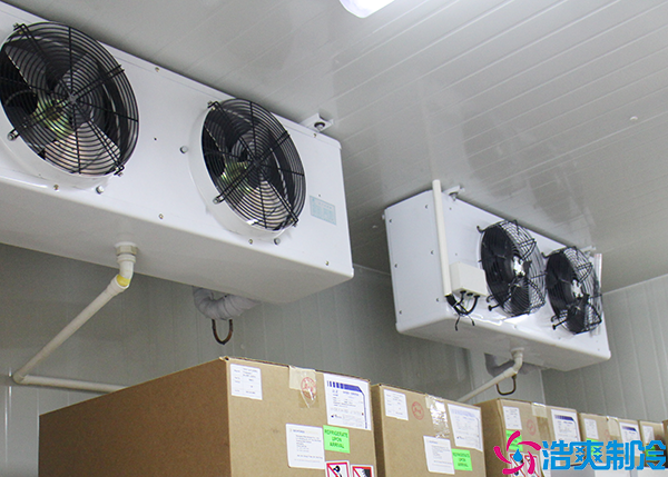 食品小型菠萝蜜在线观看