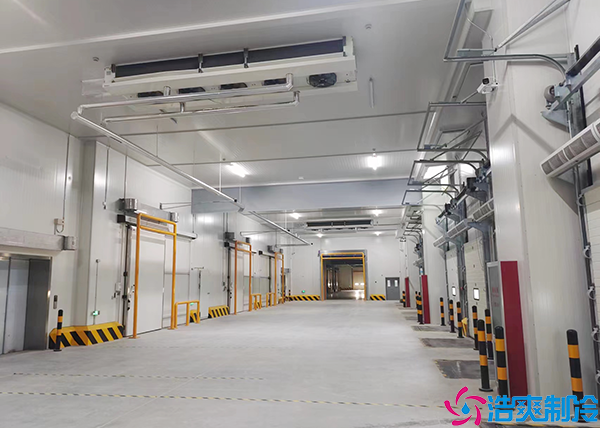 生鲜物流菠萝蜜在线观看设备