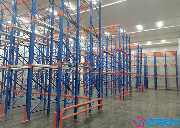 小型物流菠萝蜜在线观看