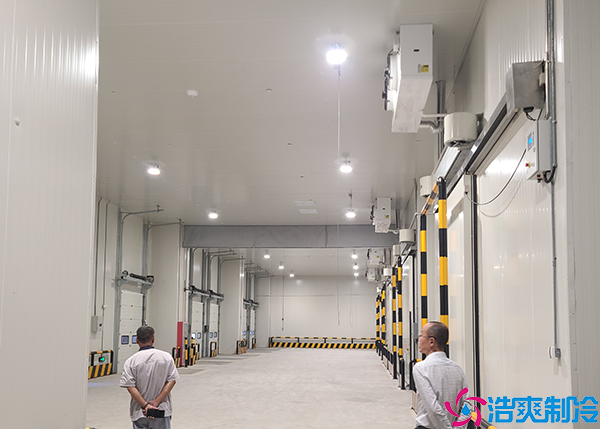 冷链物流仓储菠萝蜜在线观看