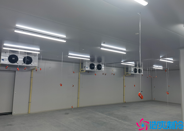 小型速冻菠萝蜜在线观看