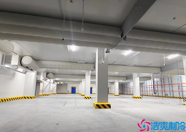 物流菠萝蜜在线观看