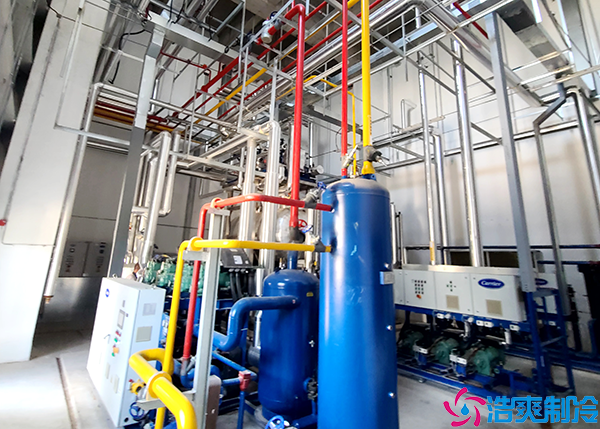 大型食品菠萝蜜在线观看