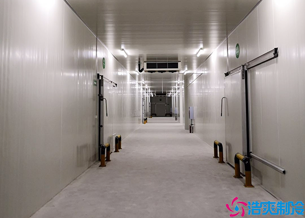 大型速冻菠萝蜜在线观看