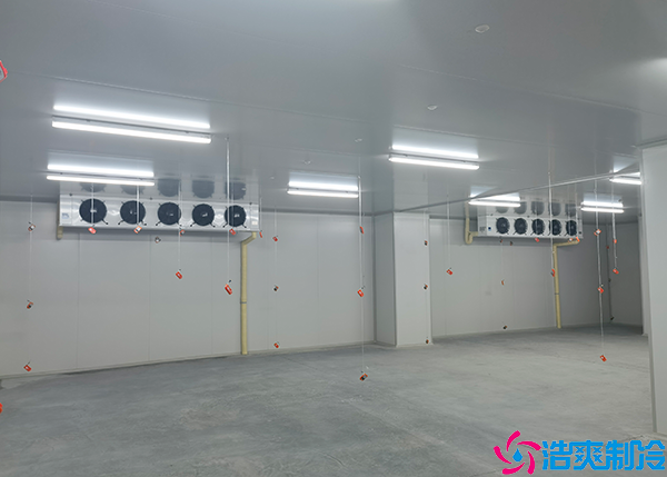 食品菠萝蜜在线观看