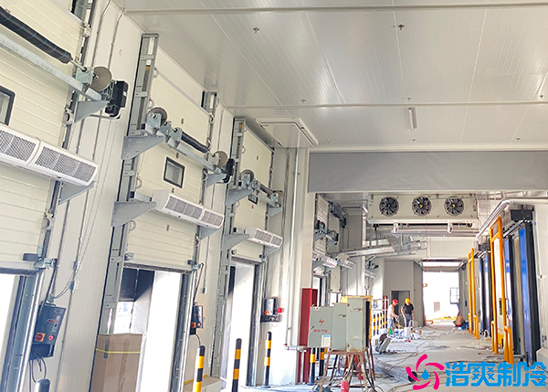 大型菠萝蜜在线观看