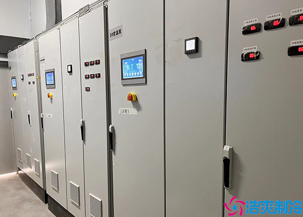 大型食品菠萝蜜在线观看设备