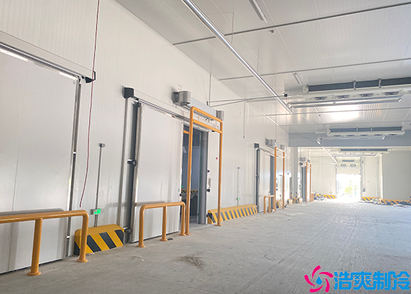 牛肉菠萝蜜在线观看