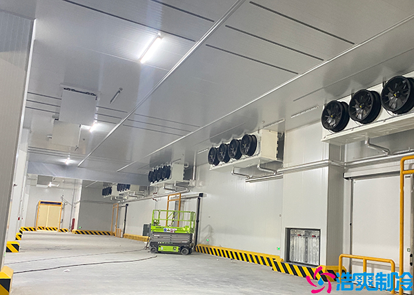 物流菠萝蜜在线观看