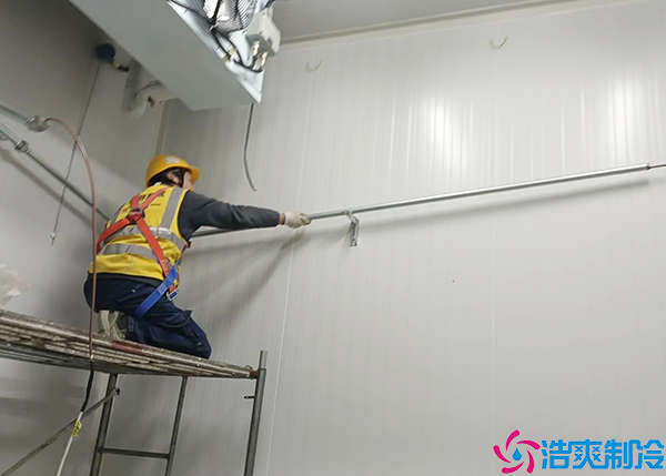 防爆菠萝蜜在线观看