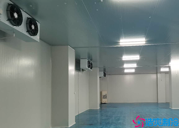 物流小型菠萝蜜在线观看