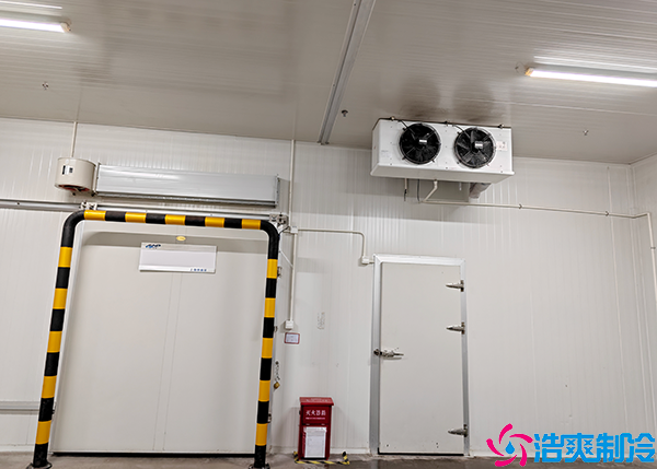 牛肉菠萝蜜在线观看