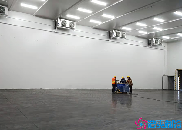 土豆菠萝蜜在线观看