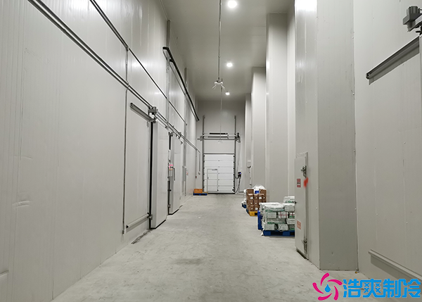 生鲜物流菠萝蜜在线观看