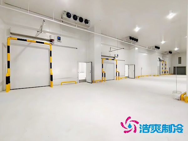 菠萝蜜在线观看食品可以放多久