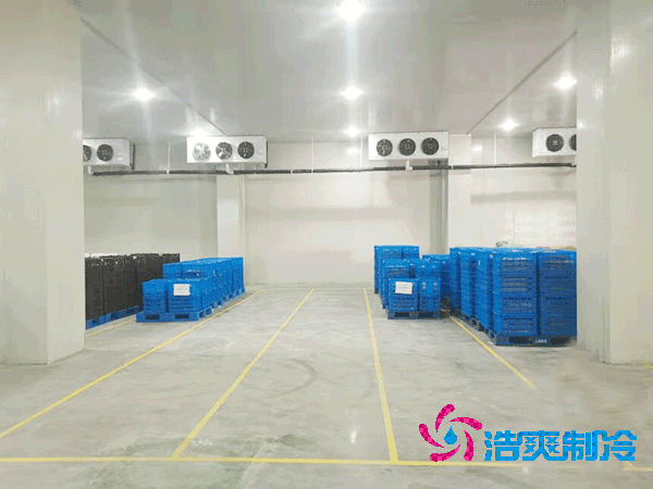 2025年各类型菠萝蜜在线观看造价及成本盘点