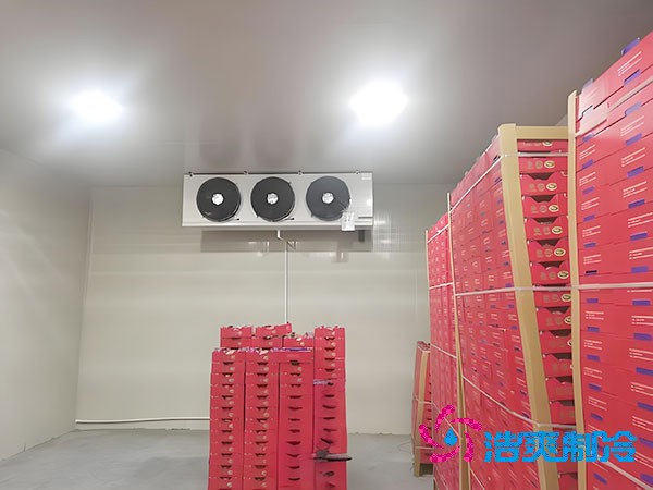 菠萝蜜在线观看造价