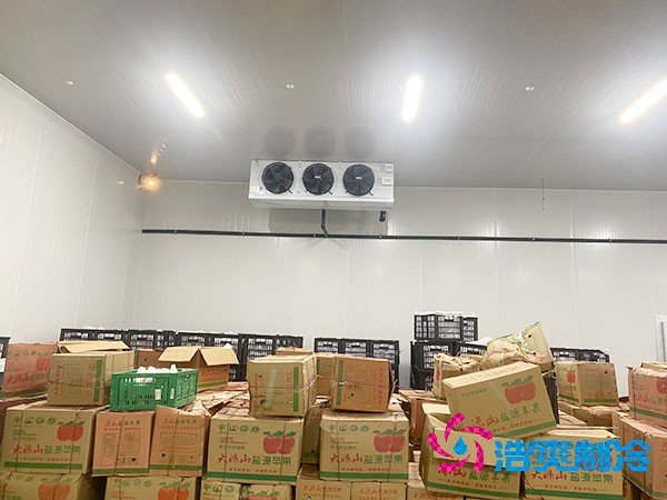 果蔬保鲜菠萝蜜在线观看造价多少钱，水果菠萝蜜在线观看建造价格表