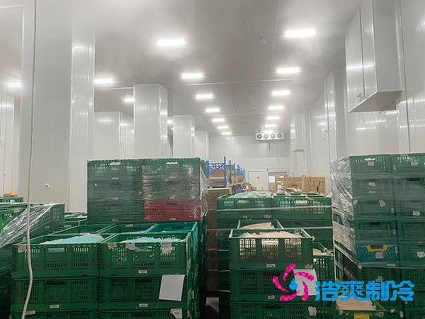 万吨大型菠萝蜜在线观看冷藏库建造多少钱