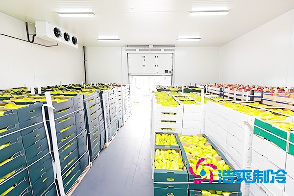 水果保鲜菠萝蜜在线观看每平方米的建造费用是多少钱？-菠萝蜜视频在线免费观看制冷