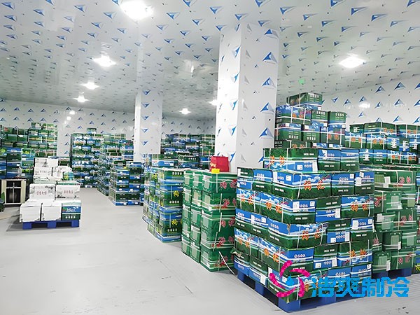 江苏地区果蔬气调保鲜菠萝蜜在线观看建造价格成本多少钱？-菠萝蜜视频在线免费观看制冷