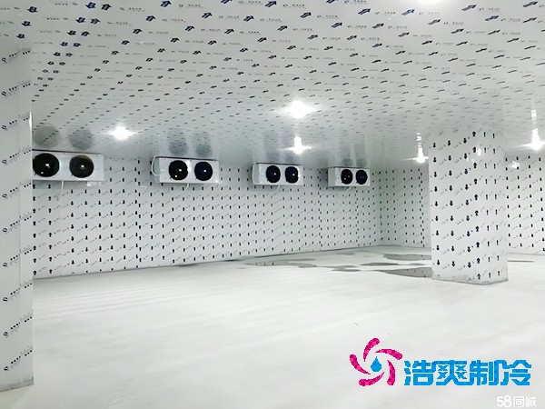 保鲜菠萝蜜在线观看造价及安装费用大概多少钱？