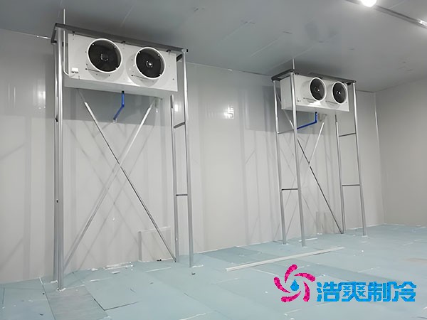 100平方米的果蔬保鲜菠萝蜜在线观看造价