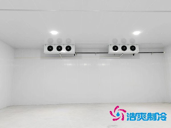 上海低温菠萝蜜在线观看造价大概是多少钱